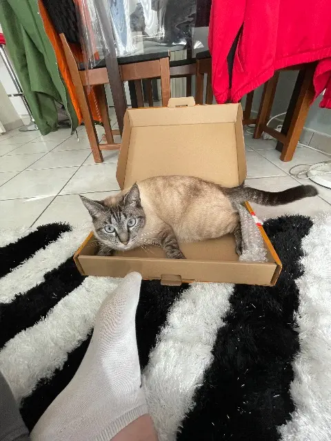 chat reunited    Chanverrie Sunny