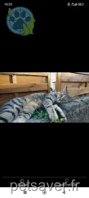 chat reunited 86100 Châtellerault Omalley