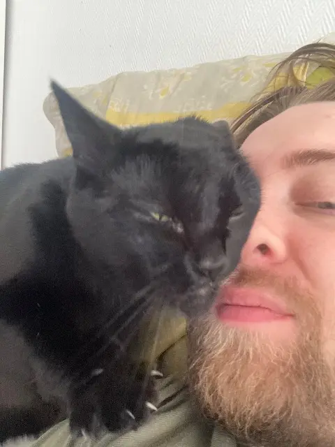 chat reunited   91470 Forges-les-Bains Benson