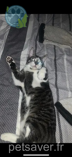 chat reunited 91130 Ris-Orangis Timi