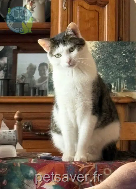 kater reunited 92600 Asnières-sur-Seine César