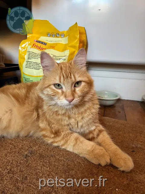 chat reunited 92300 Levallois-Perret Max