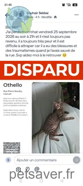 chat reunited 92140 Clamart Othello