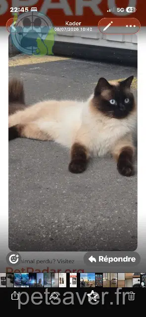 chat reunited 92000 Nanterre Rondo