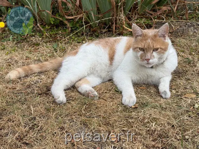 chat reunited 92160 Antony Tysha