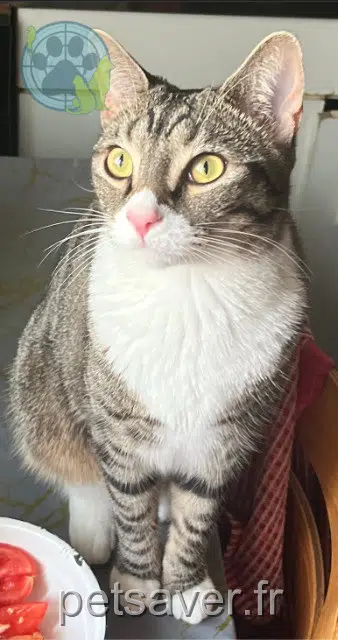 chat reunited   93300 Aubervilliers Layth