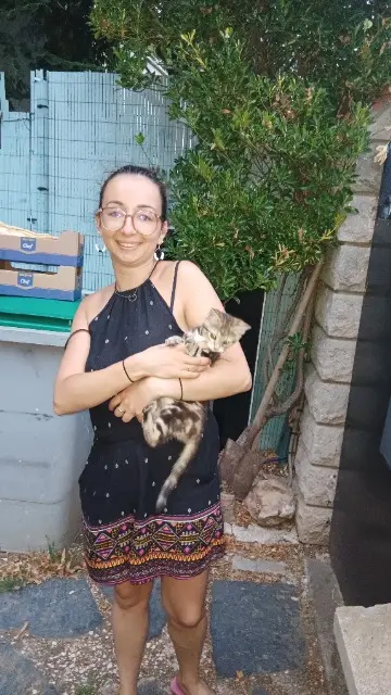 chat reunited   94800 Villejuif Alize