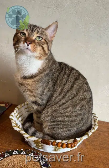 chat reunited   94400 Vitry-sur-Seine Suna