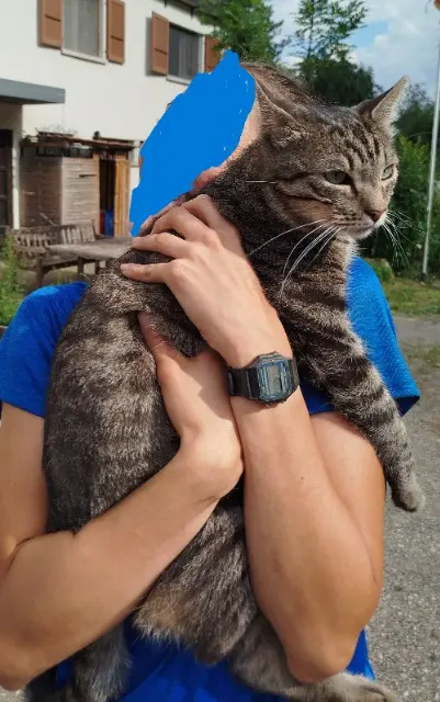 chat reunited   1323 Romainmôtier Nayati