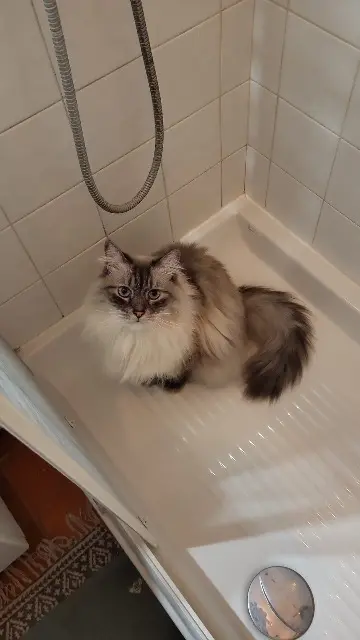 chat found   22630 Évran Oscar
