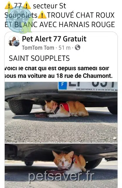 chat found 77370 Gastins 