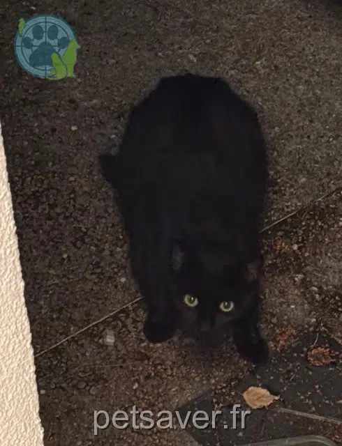 chat found 77210 Avon 