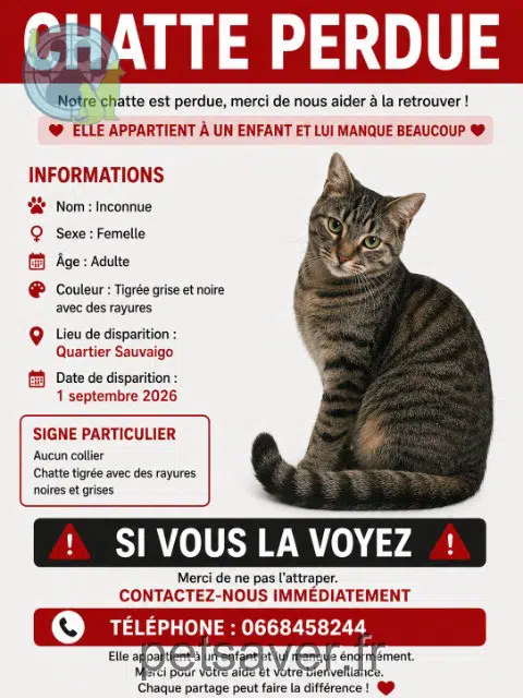 Katze lost 06700 Saint-Laurent-du-Var Indiane