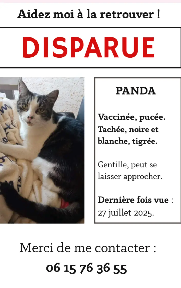 gata perdida 06670 Castagniers Panda gata lost 06670 Castagniers Panda