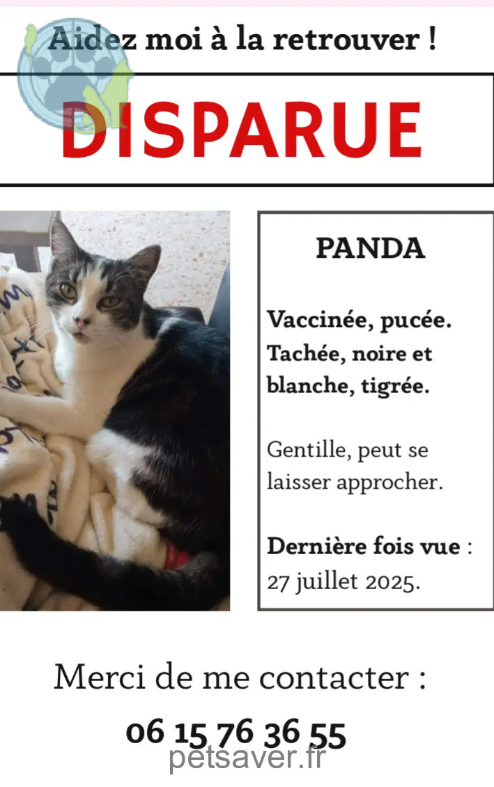 Katze vermisst 06670 Castagniers Panda Katze lost 06670 Castagniers Panda