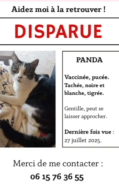 Katze vermisst 06670 Castagniers Panda Katze lost 06670 Castagniers Panda