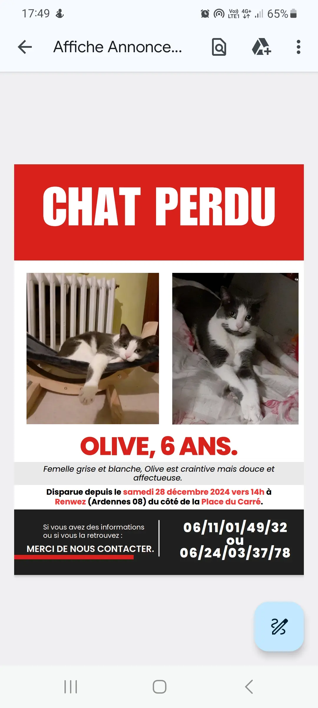Chatte Perdue 08 Ardennes - Olive Chatte Perdue 08 Ardennes - Olive