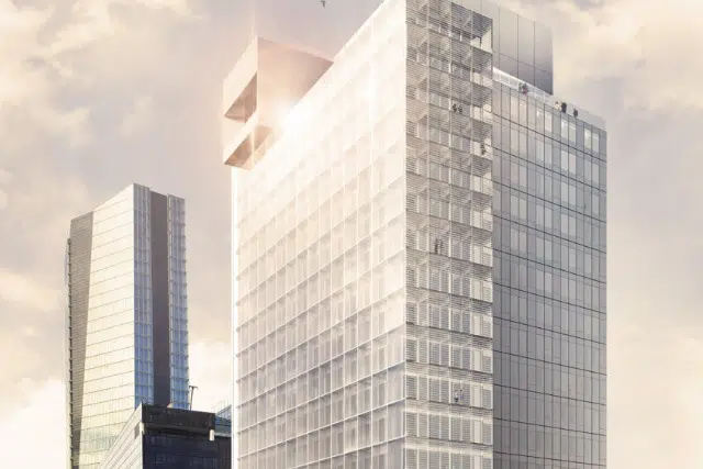 chatte lost    Marseille Maya