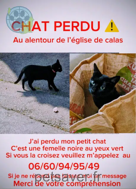 chatte lost   13480 Cabriès Noiraude