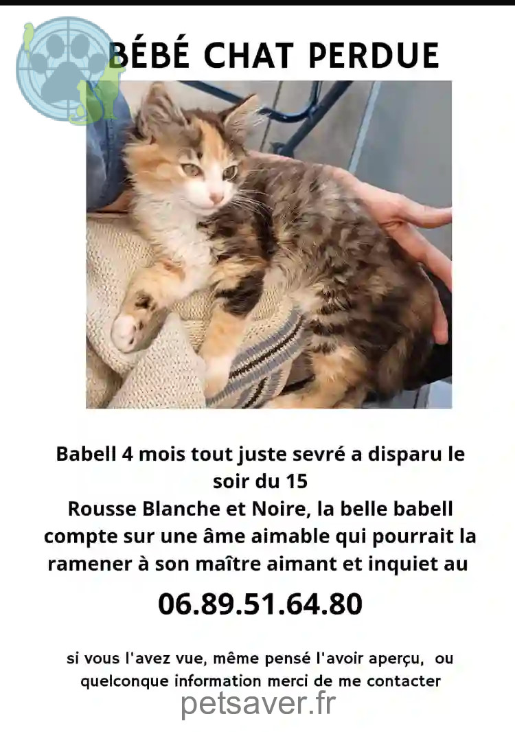 Chatte Perdue 15 Cantal - Babell Chatte Perdue 15 Cantal - Babell