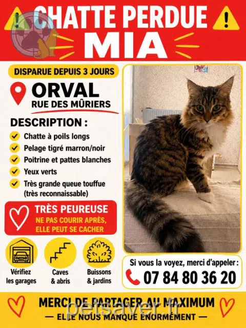 chatte lost   18200 Orval Mia