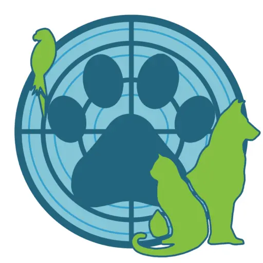 chatte lost   26110 Nyons Coco