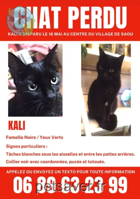 gata perdida 26400 Saoû Kali gata lost 26400 Saoû Kali