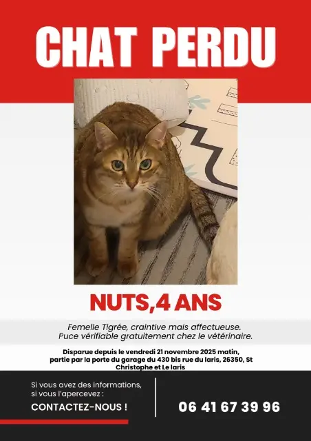 chatte lost   26350 Saint-Christophe-et-le-Laris Nuts