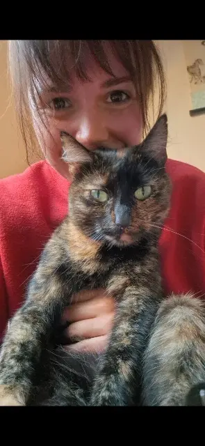 chatte lost   29800 Saint-Divy Takia