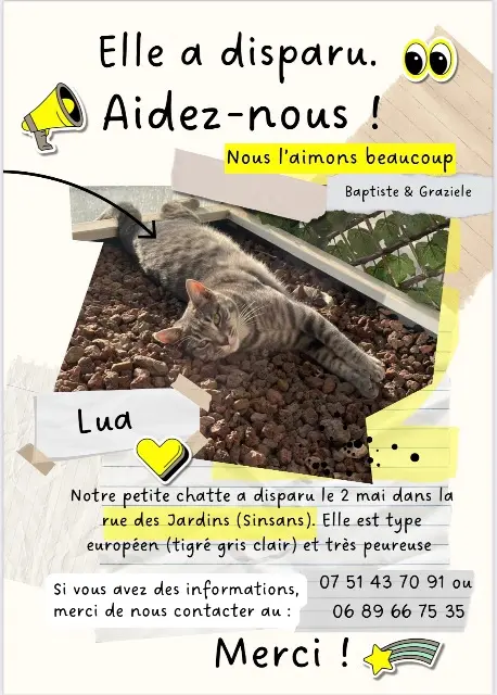 chatte lost   30420 Calvisson Lua
