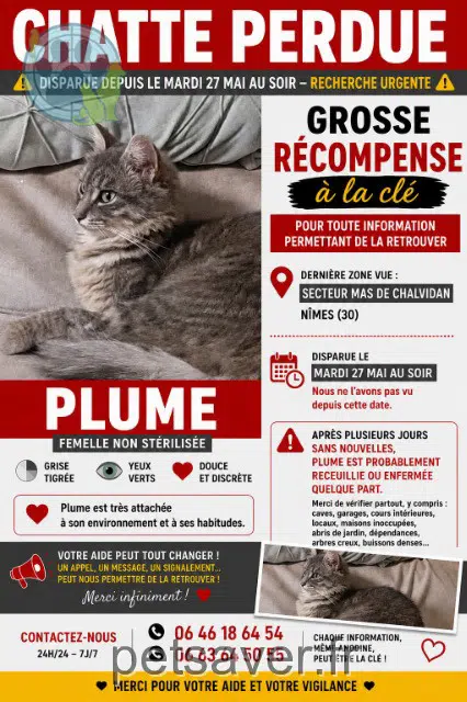 Plume