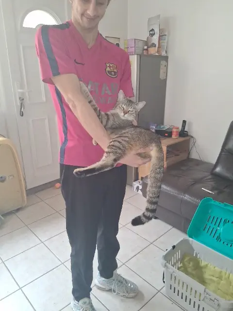 chatte lost   30200 Bagnols-sur-Cèze Vanille