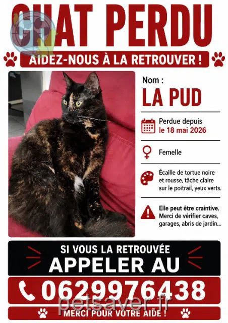 Lapud