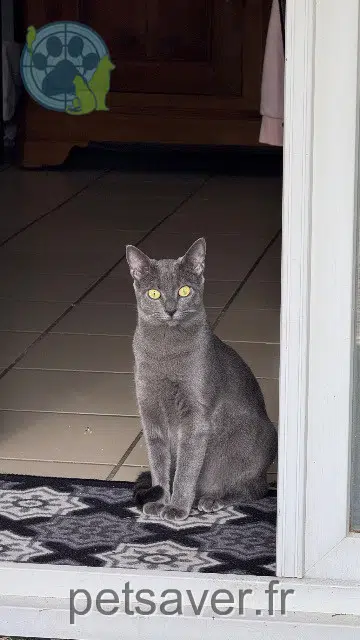 Arya