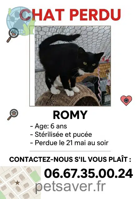 chatte lost   33370 Bonnetan Romy