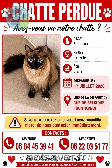 chatte perdue 34110 Frontignan Opium chatte lost 34110 Frontignan Opium