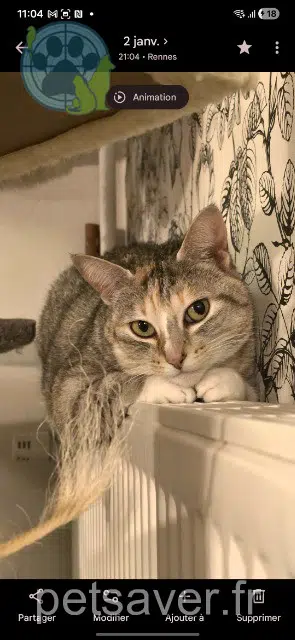 Pepper