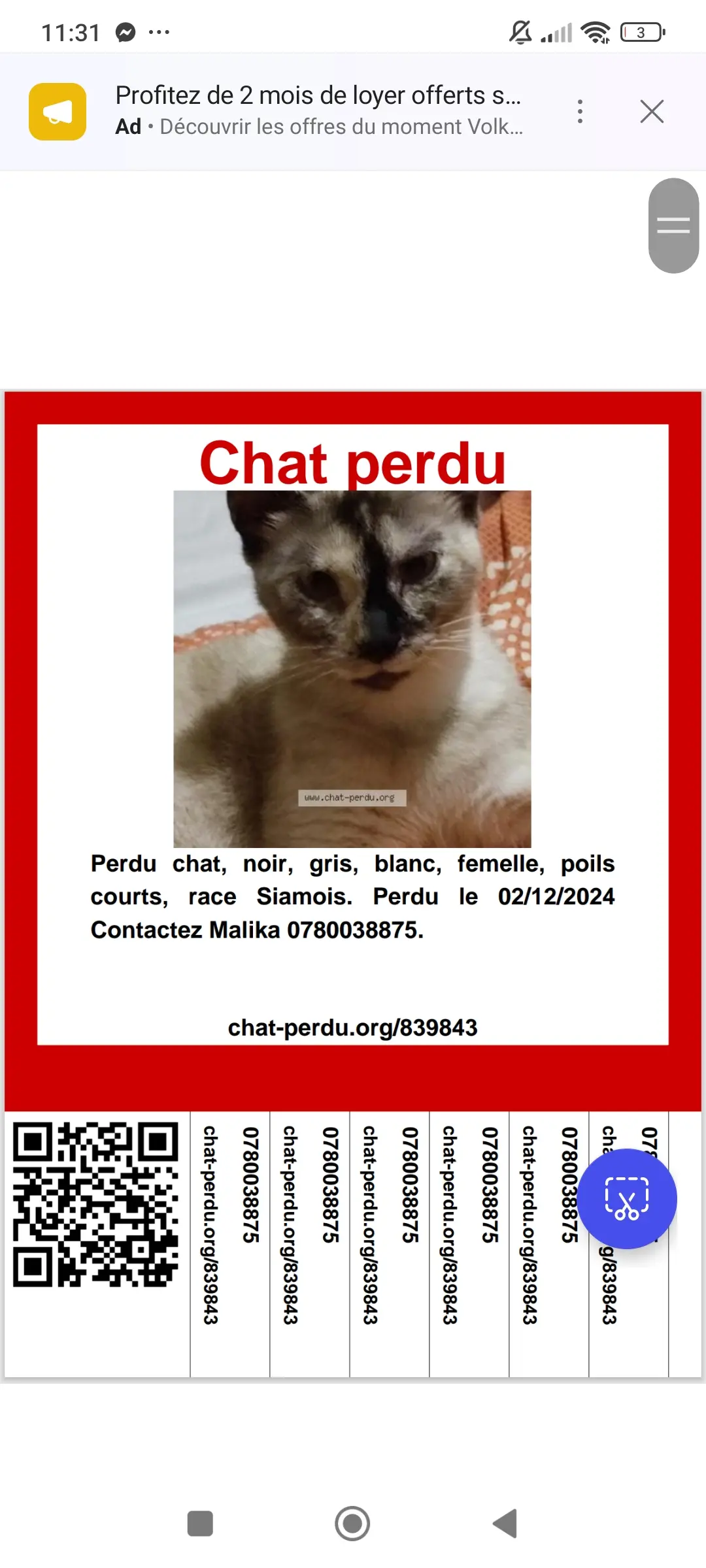 Chatte Perdue 36 Indre