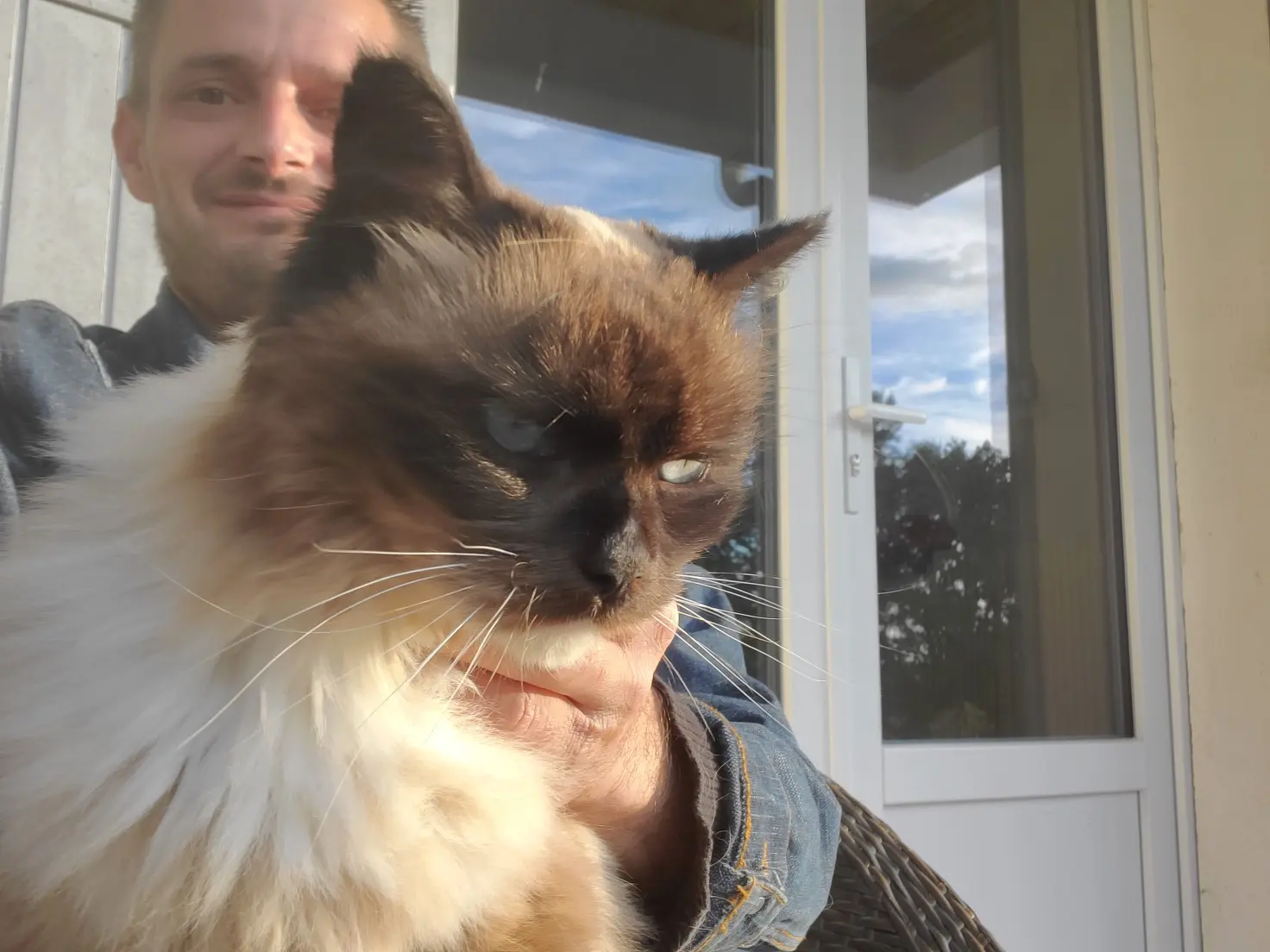 Chatte Perdue 36 Indre Chatte Perdue 36 Indre