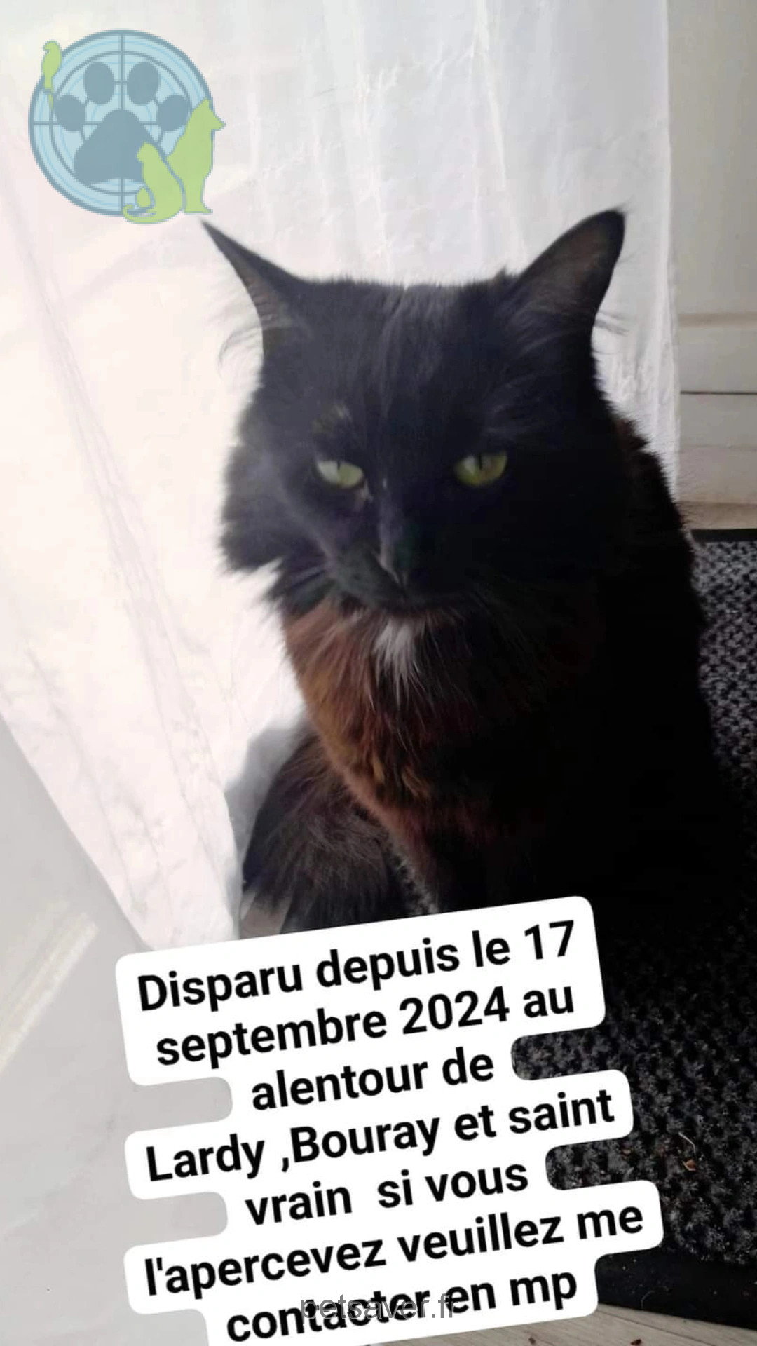 Chatte Perdue 36 Indre - Réglisse Chatte Perdue 36 Indre - Réglisse