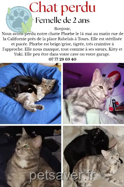 kat lost    Tours Phœbe