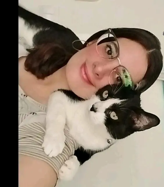 chatte lost   38190 Villard-Bonnot ASHOKA