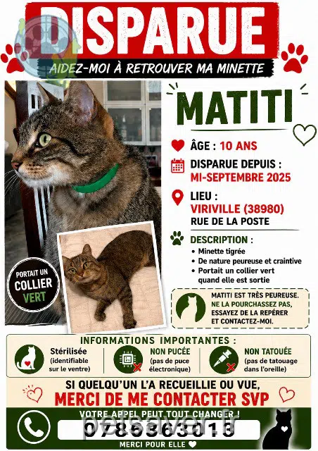 chatte lost   38980 Viriville Matiti