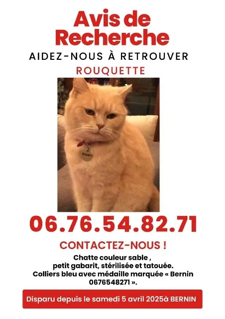 chatte lost   38190 Bernin Rouquette