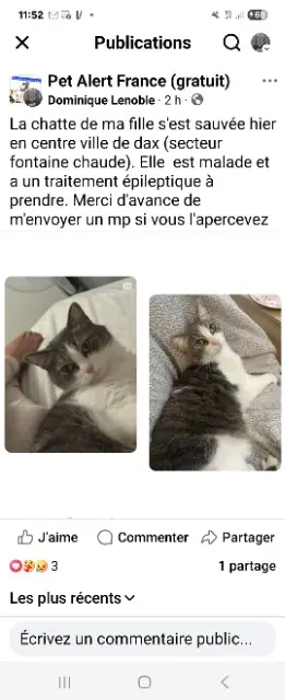 chatte lost   40100 Dax Spira