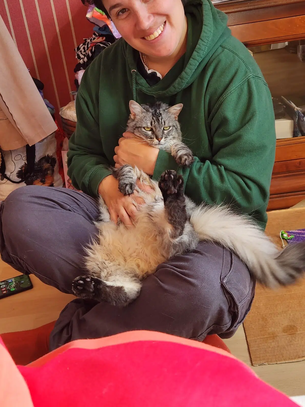 chatte lost   44110 Châteaubriant Skye