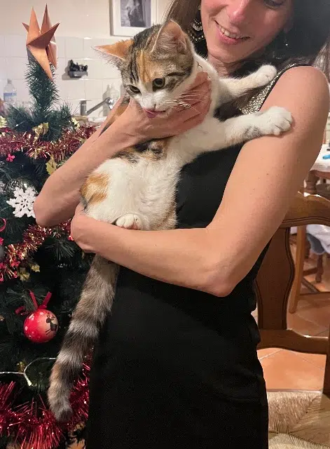 chatte lost   44310 La Limouzinière Vanille