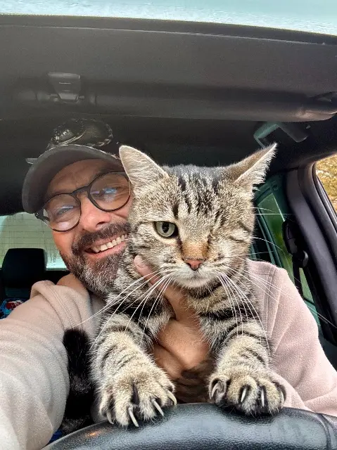 chatte lost   45620 Cerdon Bichette