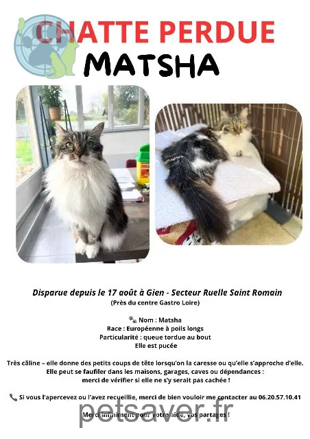 Katze vermisst 45500 Gien Matsha Katze lost 45500 Gien Matsha
