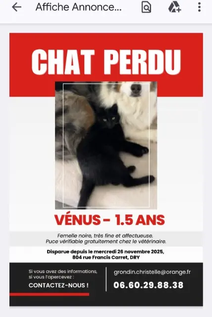 chatte lost   45370 Dry Venus